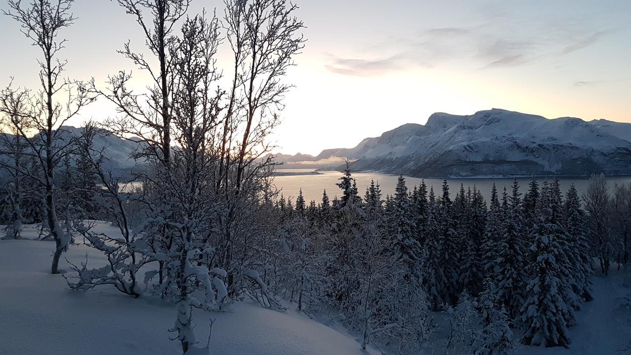 Slettvold Lyngen Vila Svensby Exterior foto
